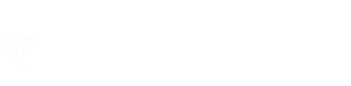 Language Services Direct logo